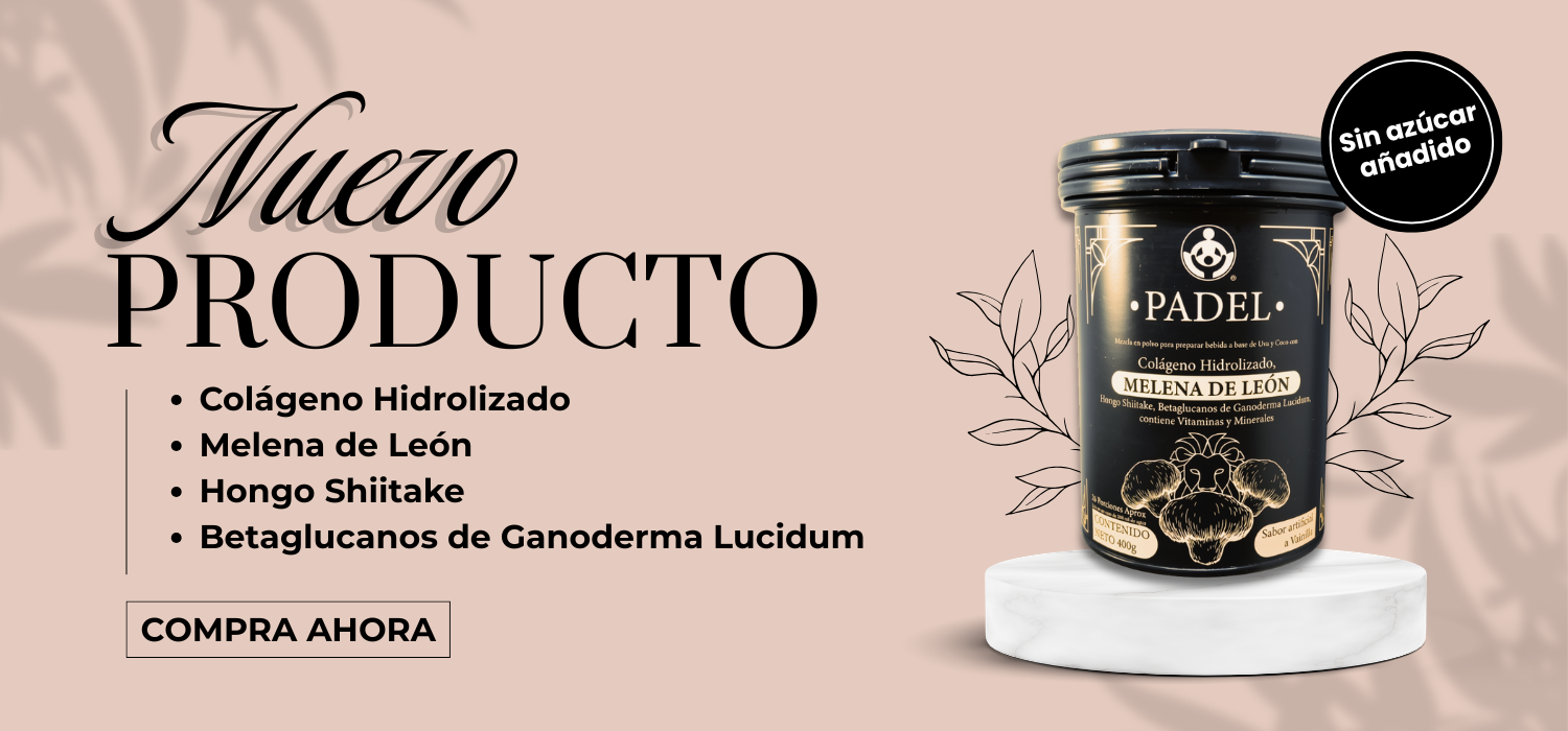 BANNER MELENA DE LEÓN
